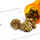 Illustration for article titled Federal Officials Aim to Harsh L.A.s Mellow By Shutting Down Medical Marijuana Dispensaries